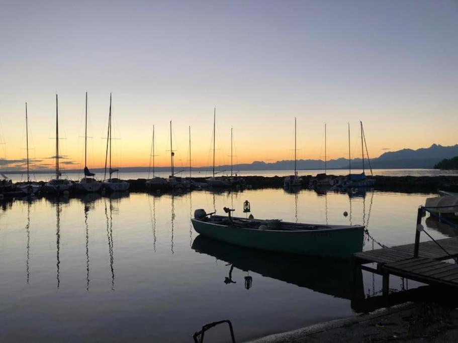 Villa Moderne, A 2 Pas Du Lac Leman Sciez Bagian luar foto